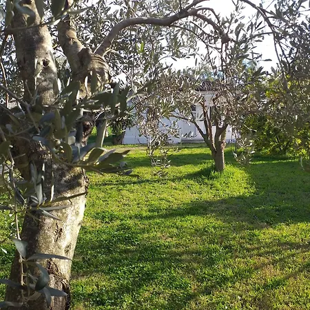 In Campagna سيباري